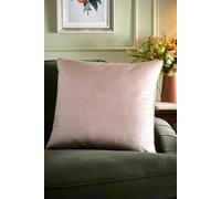 Appletree - Natural Velvet Cushion (55 x 55cm) - Soft Touch Velvet Cushion - Filling Included - Natural Cushion - Natural Cream Cushion Insert with Cover Included - Velvet Large Cushion in Natural