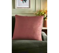 Appletree 'Harlan' Velvet Filled Cushion in Pink | Size: 55 cm x 55 cm Appletree Pink 55 cm x 55 cm