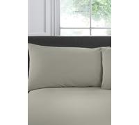 Appletree 'Premium 200TC Plain Dye' Hotel Quality 100% Percale Cotton Housewife Pillowcases (Pair) in Silver | Size: Standard Pillow Case Appletree Silver Standard Pillow Case