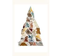 Apprentice to a Mountain