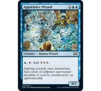 Apprentice Wizard | Double Masters