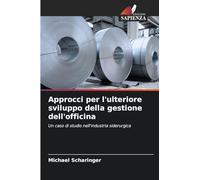 Approcci per l'ulteriore sviluppo della gestione dell'officina: Un caso di studio nell'industria siderurgica