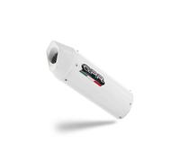 Approved GPR Exhaust Muffler Albus Evo4 for Fantic Motor XEF 125 2025 > 2026