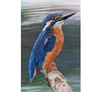 Approx A5 hardcover notebook / journal with Kingfisher artwork by Sally Sturgess: 160 lined pages. Perfect gift for wildlife lover, bird lover or art enthusiast. Supports a UK artist