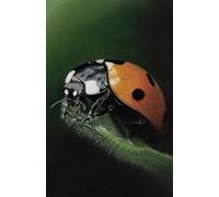 Approx A5 notebook / journal (8.5 x 5.5 inch) with Ladybird artwork by Sally Sturgess Pet Portraits & Wildlife Art. 100 lined pages. Perfect gift for ... enthusiast or art lover. Supports a UK artist