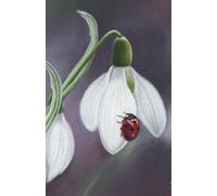 Approx A5 notebook / journal (8.5 x 5.5 inch) with Ladybird on Snowdrop artwork by Sally Sturgess Pet Portraits & Wildlife Art. 100 lined pages. ... enthusiast or art lover. Supports a UK artist