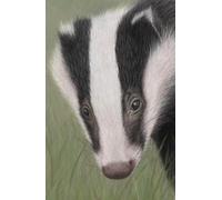 Approx A5 notebook / journal with Badger artwork by Sally Sturgess: 100 lined pages. Perfect gift for wildlife lover, badger lover or art enthusiast. Supports a UK artist