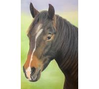 Approx A5 notebook / journal with Horse artwork by Sally Sturgess: 100 lined pages. Perfect gift for wildlife lover, horse lover or art enthusiast. Supports a UK artist