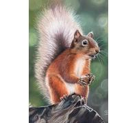 Approx A5 Week Per Page 2026 Diary with Squirrel Artwork by Sally Sturgess.: With UK Holidays, Pagan Festivals and Moon Phases. Supports a UK artist.