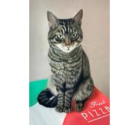 Approx A5 Week Per Page 2026 Diary with Tabby Cat Artwork by Sally Sturgess.: With US Holidays and important dates. Perfect gift for cat lovers!