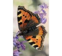 Approx A5 Week Per Page 2026 Diary with Tortoiseshell Butterfly Artwork by Sally Sturgess.: With US Holidays and important dates. Perfect gift for butterfly lovers!