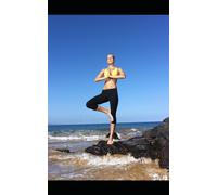 Approximate Intelligence (v0.1) Why Perfect Solutions Eliminate the Future: A diagnostic framework for understanding failure modes in complex systems