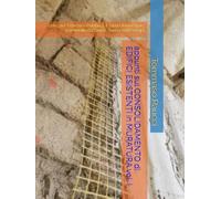appunti sul CONSOLIDAMENTO di EDIFICI ESISTENTI in MURATURA vol. I: utile per Concorsi Pubblici, Esami Universitari, corredato da Storia, Teoria ed Esempi (TEKNO-RA-ENGINEERING)