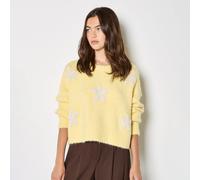 Apricot Daisy Appliques Boxy Jumper YELLOW 2XL