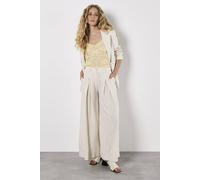 Apricot Pinstripe Pleat Palazzo Trousers In Stone Stone