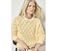 Apricot Pointelle Knit Blanket Stitch Jumper, Yellow, Size S, Women Yellow