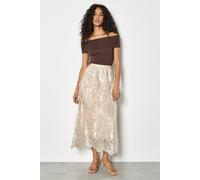 Apricot Women's Shimmer Mesh Floral Embroidered Midi Skirt in Stone | Size: 10