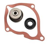 Aprilsunnyzone Water Pump Kit For Polaris ATVs Supporting For Sportsman Scrambler For Predator Outlaw And With Direct Fit Replacement Parts