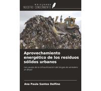 Aprovechamiento energético de los residuos sólidos urbanos: Las causas de la infrautilización del biogás de vertedero en Brasil