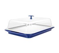 APS Cooling Display Tray and Cover in Blue - Stainless Steel & Plastic