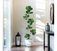 Aptliton 180cm/6FT Artificial Fiddle Leaf Fig Tree, Tall Faux Indoor Outdoor Tree in Black Nursery Pot, Lifelike PE PVC Leaves, Stable Cement Base and Adjustable Branches for Home Office Decor, Green
