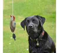 Aptliton Dog Training Duck Dummy, Duck Bumper Toy with Throwing Toggle, Retriever Sports Toys, Outdoor Dogs Training Accessory, Floating Dead Fowl Trainer for Puppies, 33x7x6cm