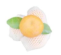 ApuaVireo&Co 100PCS Fruit Foam Net Sleeve Set, for Apple Strawberry Shockproof Protection Foams Net Bag Pocket Orange Grid Packaging Anti-Collision Protection Sleeve Bag(12x6cm)
