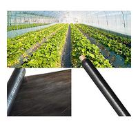ApuaVireo&Co Agricultural Black Plastic Mulching Film, Garden Weeds Control Biodegradable Film, 14micron Thickness Strawberry Tomato Plant Cover Mulch(1x30m)