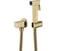 ApuaVireo&Co Hand Held Bidet Sprayer, Single Cold Stainless Steel Toilet Bidet Faucet Shattaf Valve Jet Set Shower Head(Gold)