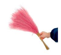 ApuaVireo&Co Pampas Grass Large 10pcs Artificial Flower Pampas Grass Fake Plant Reed Wedding Decoration Flowers Blue Bouquet Home Accessories Vase Decor(Pale Mauve)