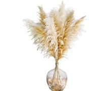 ApuaVireo&Co Pampas Grass Large 50-60cm Natural Pampas Grass Decor - Dried Large For Floor Vase Wedding Flowers Home Living Room(50-60cm,20pcs)