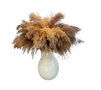 ApuaVireo&Co Pampas Grass Large 50-60cm Natural Pampas Grass Decor - Dried Large For Floor Vase Wedding Flowers Home Living Room(Black,20pcs)