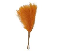 ApuaVireo&Co Pampas Grass Large 55CM 10PCS Fluffy Pampas Grass Decor Flower Fake Plant Reed Simulated Wedding Party Home Decoration Artificial Flowers(Golden Yellow)