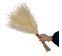 ApuaVireo&Co Pampas Grass Large 55CM 10PCS Fluffy Pampas Grass Decor Flower Fake Plant Reed Simulated Wedding Party Home Decoration Artificial Flowers(Beige)