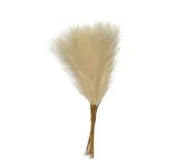 ApuaVireo&Co Pampas Grass Large 55CM 10PCS Fluffy Pampas Grass Flower Fake Plant Reed Simulated Wedding Party Home Decoration Artificial Flowers(Beige)