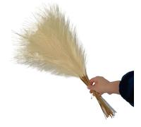 ApuaVireo&Co Pampas Grass Large 55CM 5/10/20PCS Fluffy Pampas Grass Decor Flower Fake Plant Reed Simulated Wedding Party Home Decoration Artificial Flowers(Blue,5pcs)