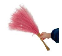 ApuaVireo&Co Pampas Grass Large 55CM 5/10/20PCS Fluffy Pampas Grass Decor Flower Fake Plant Reed Simulated Wedding Party Home Decoration Artificial Flowers(Pink,5pcs)