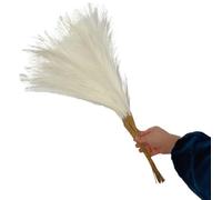ApuaVireo&Co Pampas Grass Large 55CM 5/10/20PCS Fluffy Pampas Grass Decor Flower Fake Plant Reed Simulated Wedding Party Home Decoration Artificial Flowers(Milky White,5PCS)