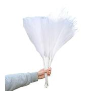 ApuaVireo&Co Pampas Grass Large 98/70cm Artificial Pampas Grass Fake Plants Fluffy Reed Flowers Bouquet For Wedding Home Decoration Birthday Party Supplies(70cm K01)