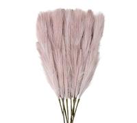 ApuaVireo&Co Pampas Grass Large 98/70cm Artificial Pampas Grass Fake Plants Fluffy Reed Flowers Bouquet For Wedding Home Decoration Birthday Party Supplies(L05)