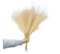 ApuaVireo&Co Pampas Grass Large 98/70cm Artificial Pampas Grass Fake Plants Fluffy Reed Flowers Bouquet For Wedding Home Decoration Birthday Party Supplies(70cm K03)