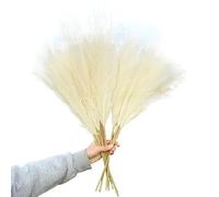 ApuaVireo&Co Pampas Grass Large 98/70cm Artificial Pampas Grass Fake Plants Fluffy Reed Flowers Bouquet For Wedding Home Decoration Birthday Party Supplies(70cm K02)