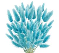 ApuaVireo&Co Pampas Grass Large Bunny Tails Dried Flowers,White Natural Dry Pampas,Eternal Rabbit Grass For Vase,Arrangement Wedding,Home,Hotel Decoration(Teal Blue,20Pcs)