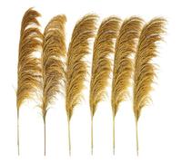 ApuaVireo&Co Pampas Grass Large Pampas Grass Tall,80-120cm Natural Brown Floral Vintage Dried Flower,Large Plant For Living Room Decor Bouquet(80-120cm-06,10pcs)