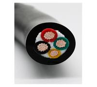 ApuaVireo&Co Screened Pure Copper Core Cable, TRVV Copper Flexible Drag Chain Cable 2-40 Core 26-11 AWG Oil Resistant CNC Signal Control(11 Awg 100 Meter,3)