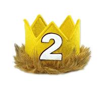 apughize Baby 1/2th 1th 2th Birthday Hat Wild One Where The Wild Things Are Theme Birthday Party Photo Booth Props Durable Children Birthday Hat
