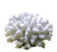 AQCDPJYU Coral Plant Aquarium Decorations Fish Tank Ornament Decor Reef Decoration Accessories for Landscape(B)
