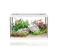 AQPET One Mini White Glass Aquarium 20 Litre - Complete Aquarium with Inner Filter, Sand, Decorative Plant and Background - Elegant Design 36x22x26cm, Ideal for Beginners