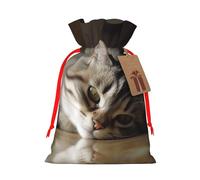 AQRJKHD Christmas Drawstring Gift Bags Xmas Gift Sack with Tag & Tie Sleeping Cat Wrapping Sacks Pouches Favor Santa Bag for Wrapping Presents Christmas Birthday Party Xmas Party