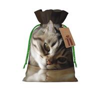 AQRJKHD Christmas Drawstring Gift Bags Xmas Gift Sack with Tag & Tie Sleeping Cat Wrapping Sacks Pouches Favor Santa Bag for Wrapping Presents Christmas Birthday Party Xmas Party